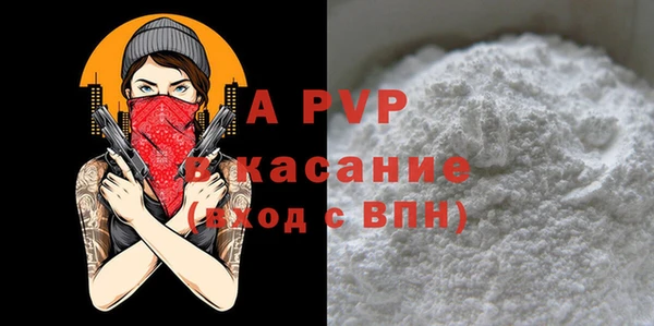 спайс Бородино