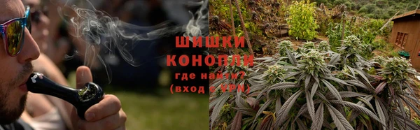 спайс Бородино
