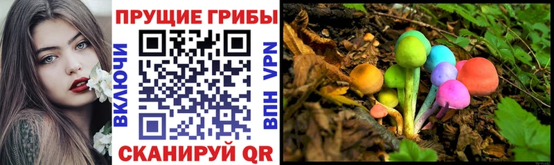 MEGA онион Бородино Галлюциногенные грибы GOLDEN TEACHER